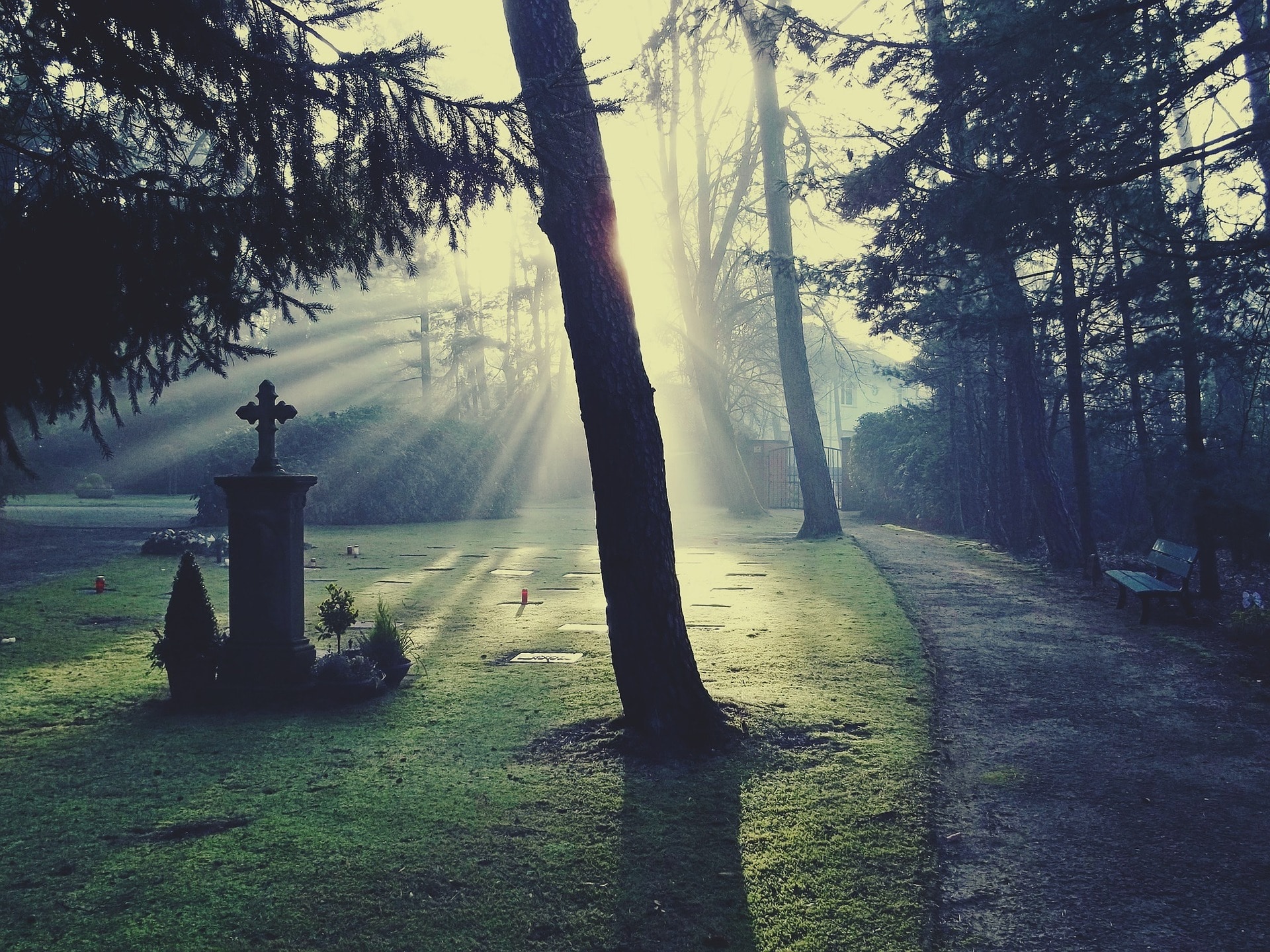 Friedhof