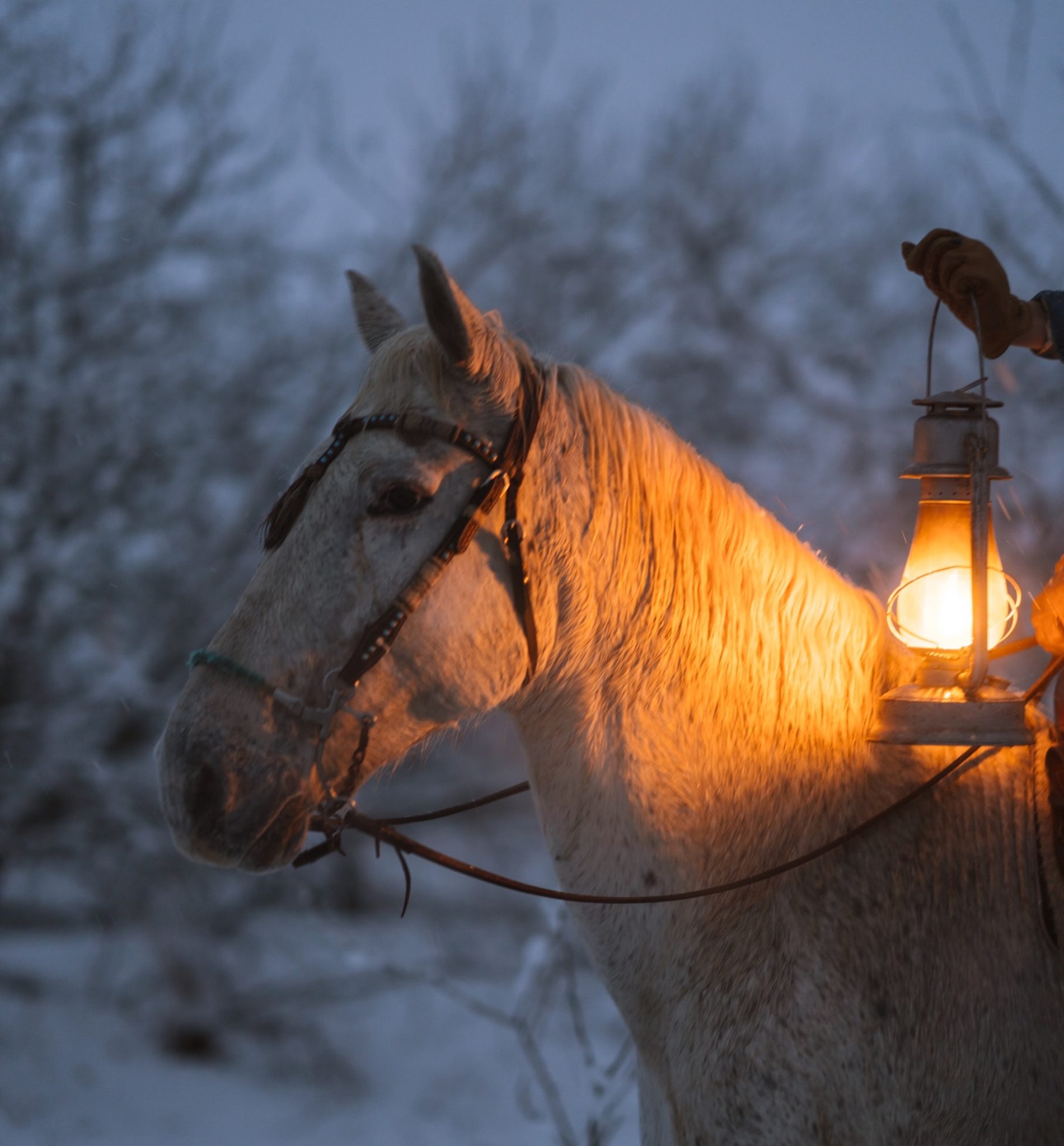 St. Martin mit Pferd