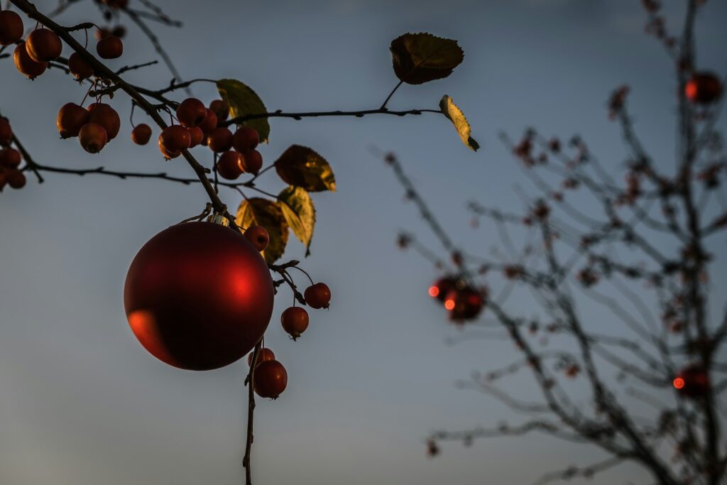 Weihnachtsliedersingen im Salvatorgarten