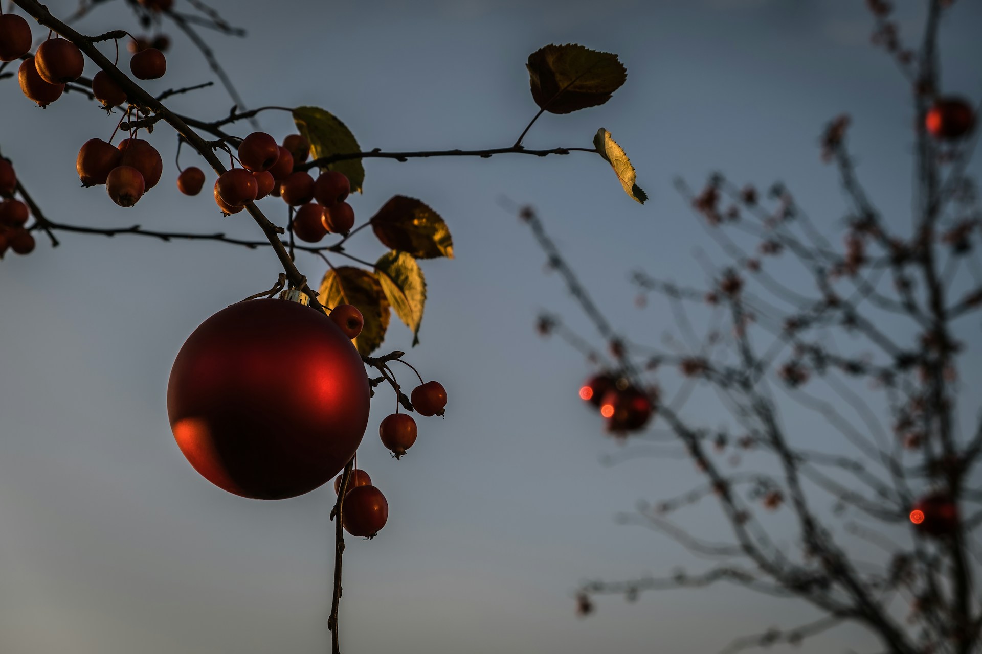 Adventssingen Salvator