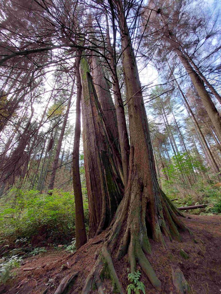 „Gemeinsam älter werden“ – Gesprächsreihe in der Pfarrei Christi Auferstehung